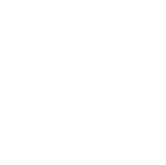 Chaos
